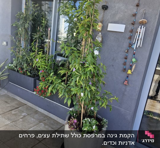 עציץ גדול עם צמחים על מרפסת
